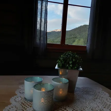 Orman Evi Storhaugen Gard